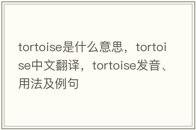 tortoise是什么意思，tortoise中文翻譯，tortoise發(fā)音、用法及例句