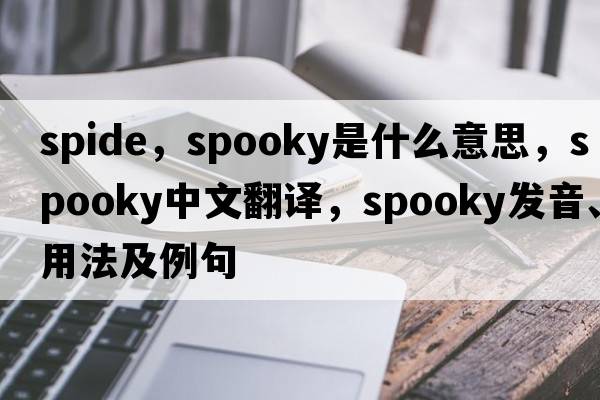 spide，spooky是什么意思，spooky中文翻譯，spooky發(fā)音、用法及例句