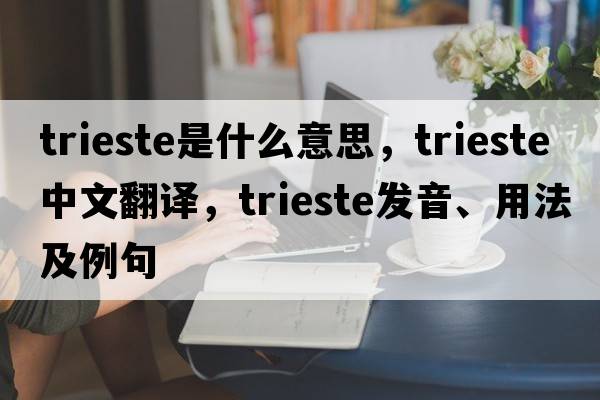 Trieste是什么意思，Trieste中文翻譯，Trieste發(fā)音、用法及例句