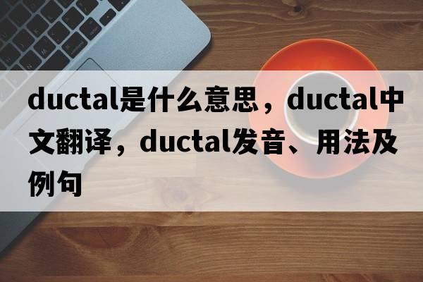 ductal是什么意思，ductal中文翻譯，ductal發(fā)音、用法及例句