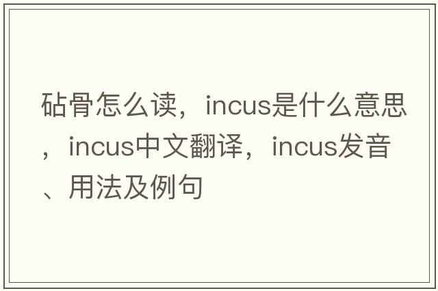 砧骨怎么讀，incus是什么意思，incus中文翻譯，incus發(fā)音、用法及例句