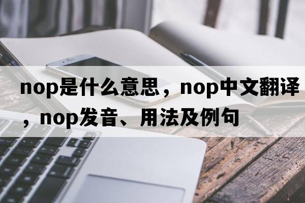 nop是什么意思，nop中文翻譯，nop發(fā)音、用法及例句