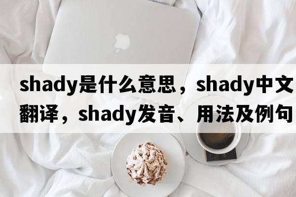 shady是什么意思，shady中文翻譯，shady發(fā)音、用法及例句