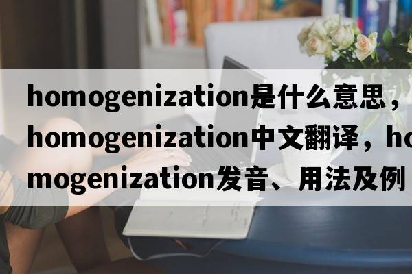 homogenization是什么意思，homogenization中文翻譯，homogenization發(fā)音、用法及例句