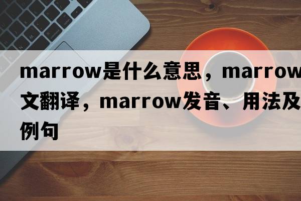 marrow是什么意思，marrow中文翻譯，marrow發(fā)音、用法及例句
