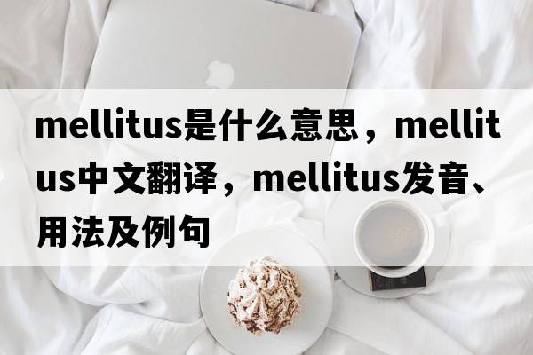 mellitus是什么意思，mellitus中文翻譯，mellitus發(fā)音、用法及例句