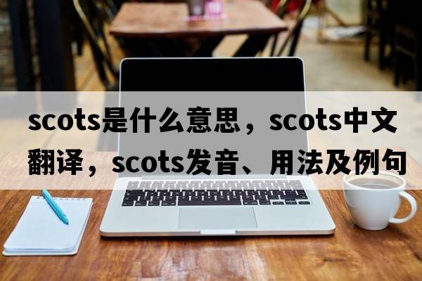 Scots是什么意思，Scots中文翻譯，Scots發(fā)音、用法及例句