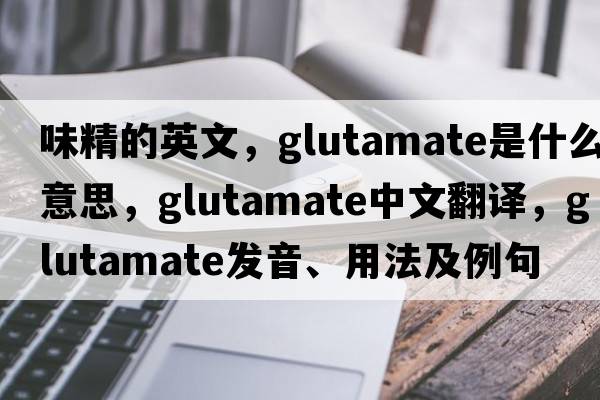 味精的英文，glutamate是什么意思，glutamate中文翻譯，glutamate發(fā)音、用法及例句