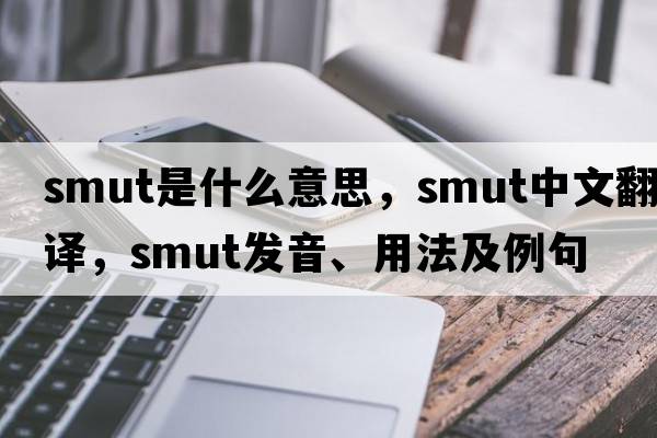 smut是什么意思，smut中文翻譯，smut發(fā)音、用法及例句