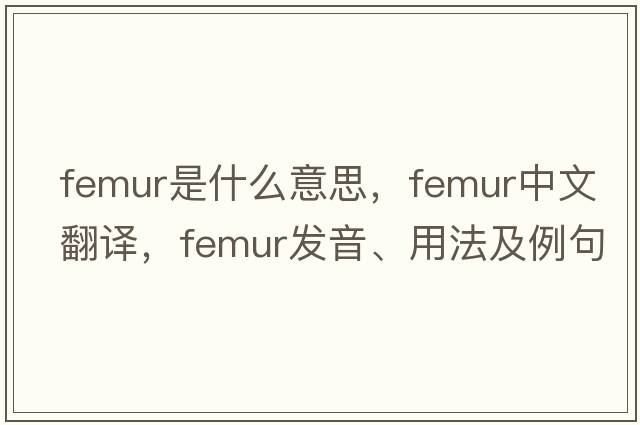 femur是什么意思，femur中文翻譯，femur發(fā)音、用法及例句