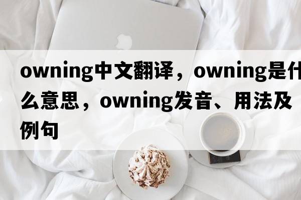 owning中文翻譯，owning是什么意思，owning發(fā)音、用法及例句
