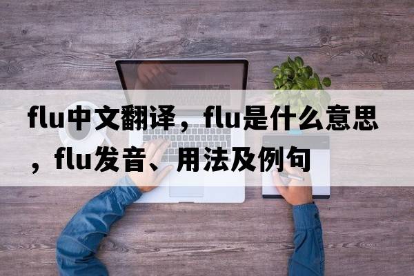 flu中文翻譯，flu是什么意思，flu發(fā)音、用法及例句