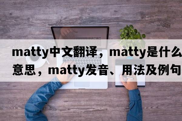 Matty中文翻譯，Matty是什么意思，Matty發(fā)音、用法及例句