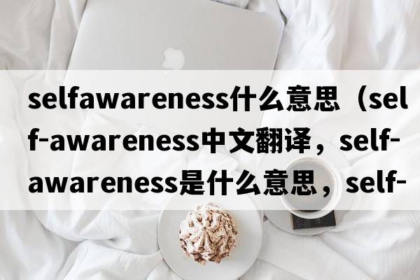 selfawareness什么意思（self-awareness中文翻譯，self-awareness是什么意思，self-awareness發(fā)音、用法及例句）