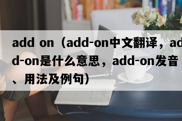 add on（add-on中文翻譯，add-on是什么意思，add-on發(fā)音、用法及例句）