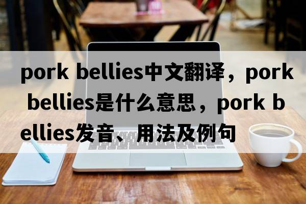 pork bellies中文翻譯，pork bellies是什么意思，pork bellies發(fā)音、用法及例句