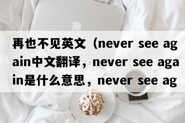 再也不見(jiàn)英文（never see again中文翻譯，never see again是什么意思，never see again發(fā)音、用法及例句）