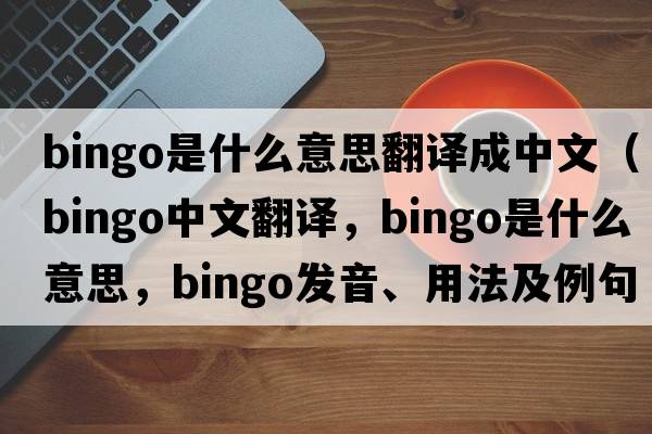 bingo是什么意思翻譯成中文（bingo中文翻譯，bingo是什么意思，bingo發(fā)音、用法及例句）