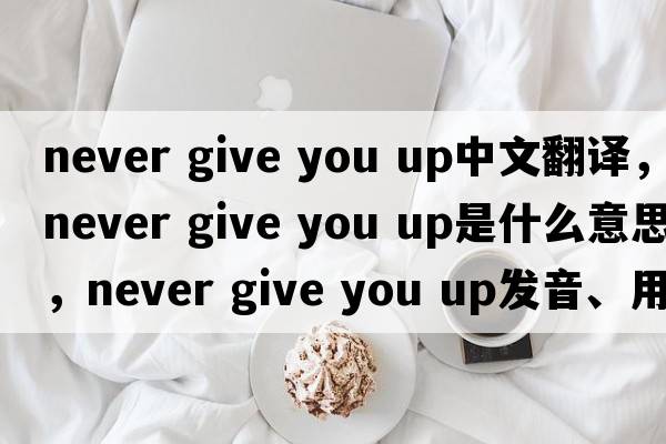 never give you up中文翻譯，never give you up是什么意思，never give you up發(fā)音、用法及例句