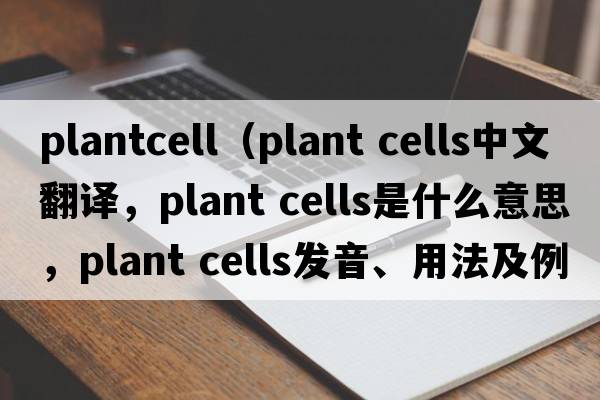 plantcell（plant cells中文翻譯，plant cells是什么意思，plant cells發(fā)音、用法及例句）